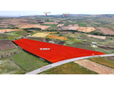 İSTANBUL SİLİVRİ KADIKÖY 10.331 m² -  ANA ASFALT CEPHELİ  - TEP TAPU ARAZİ