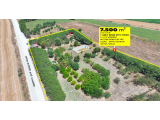 SİLİVRİ AKÖREN'DE 7.500 m² ANA  ASFALTA CEPHE KİRALIK ÇİFTLİK