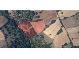 ÇANAKKALE ÇAN DOĞACA'DA 11.300 m² ORMANA KOMŞU TEK TAPU
